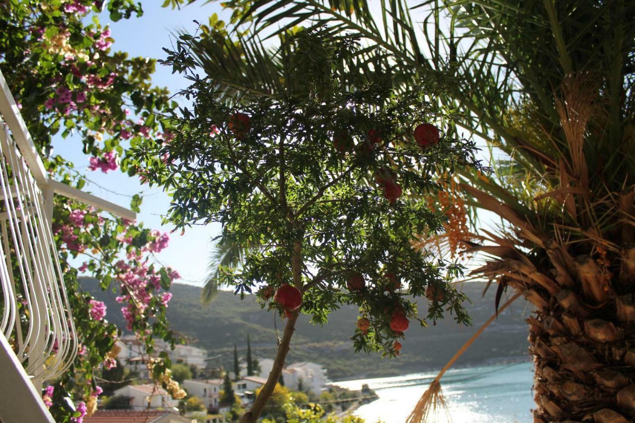 Villa Hortus Neum Zewnętrze zdjęcie